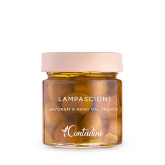 dzięki-cebulki-włoskie-lampascioni